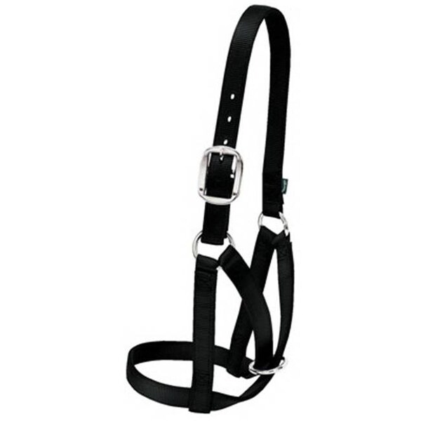 Daretocare 35-8003-BK 1 in. Cow Barn Halter - Small; Black DA602575 - main
